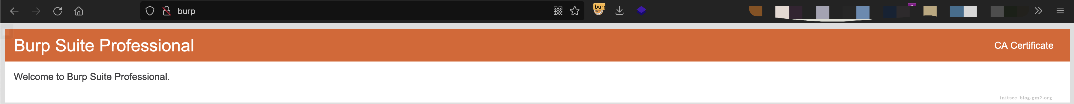 image-20211009162851982