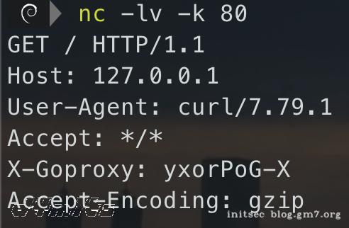 image-20220618172849772