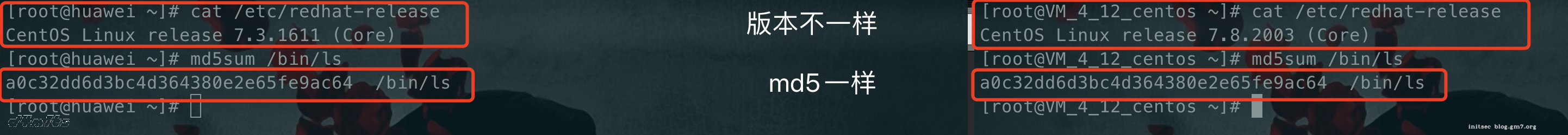 image-20201031165305151