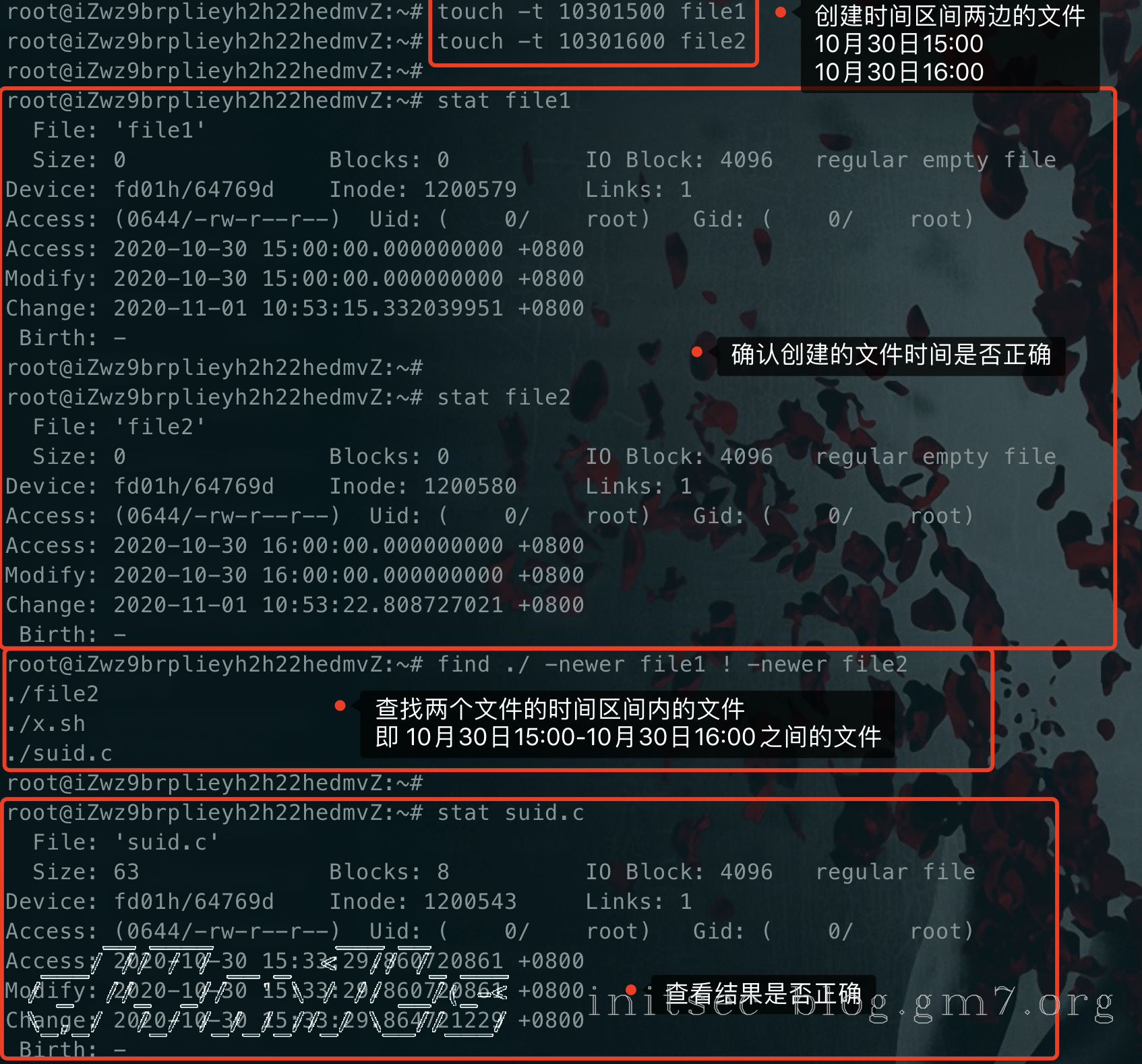 image-20201101110332918