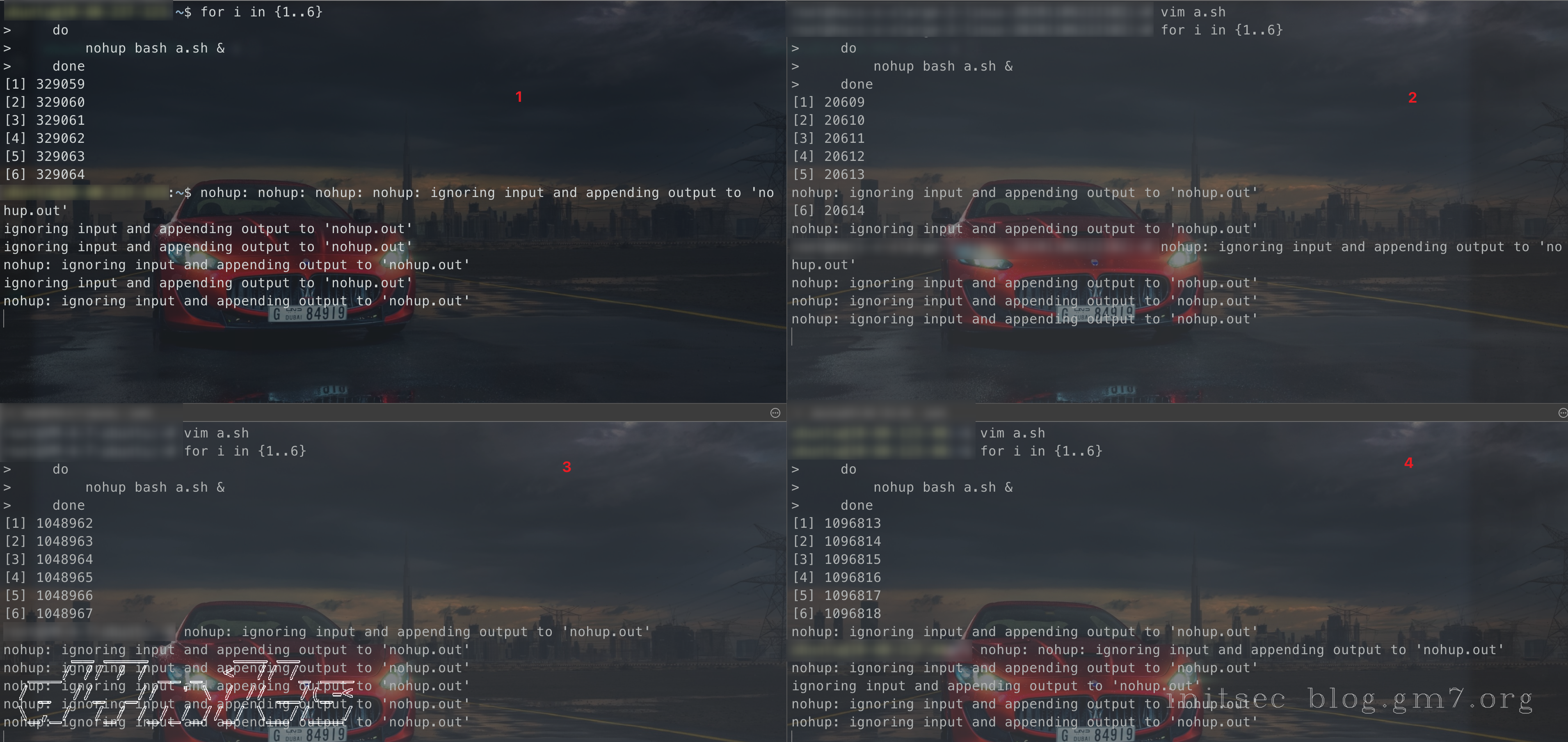 image-20221124114027721