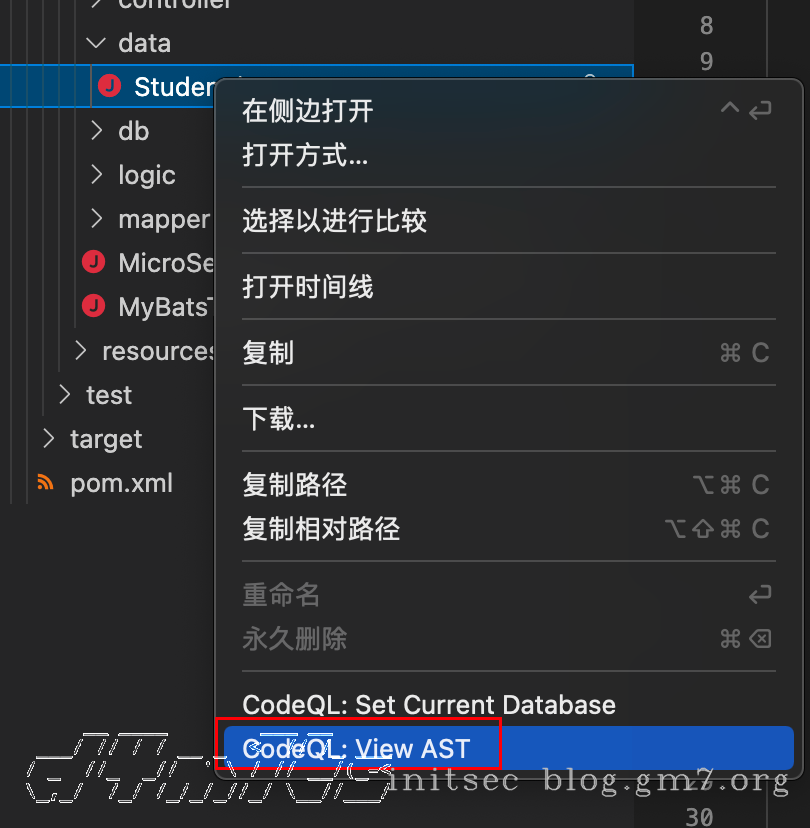 image-20220406170312196