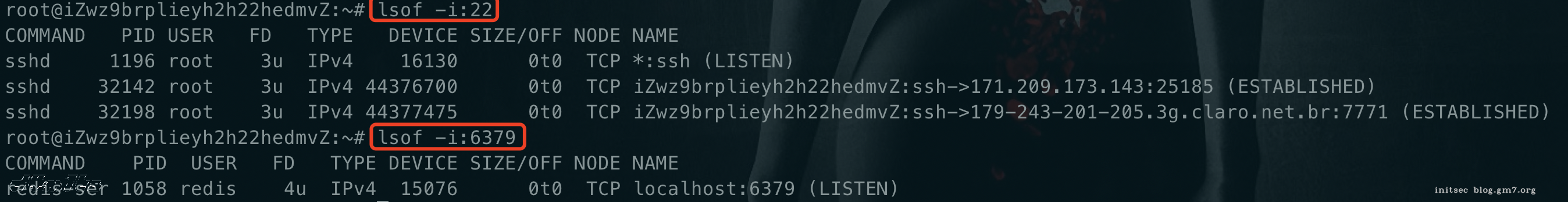 image-20201102083254336